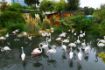 Picture of BAKU ZOOLOGICAL PARK