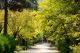 Picture of CENTRAL BOTANICAL GARDEN